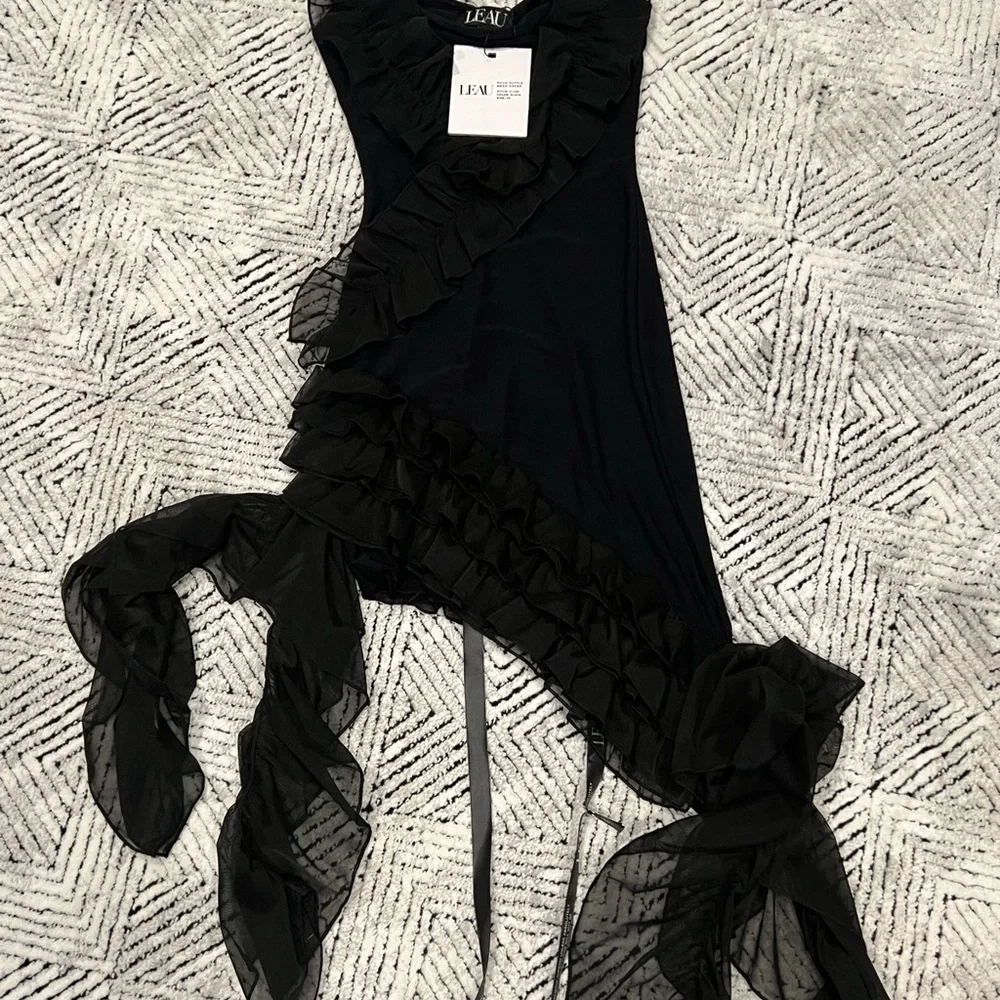 LEAU ROUX Ruffle Mesh Dress - Picture 6 of 8